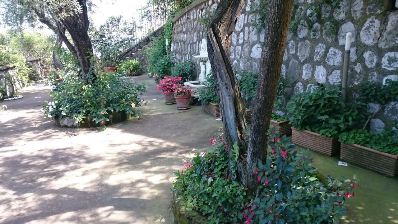 L'ulivina Villa Península Sorrentina
